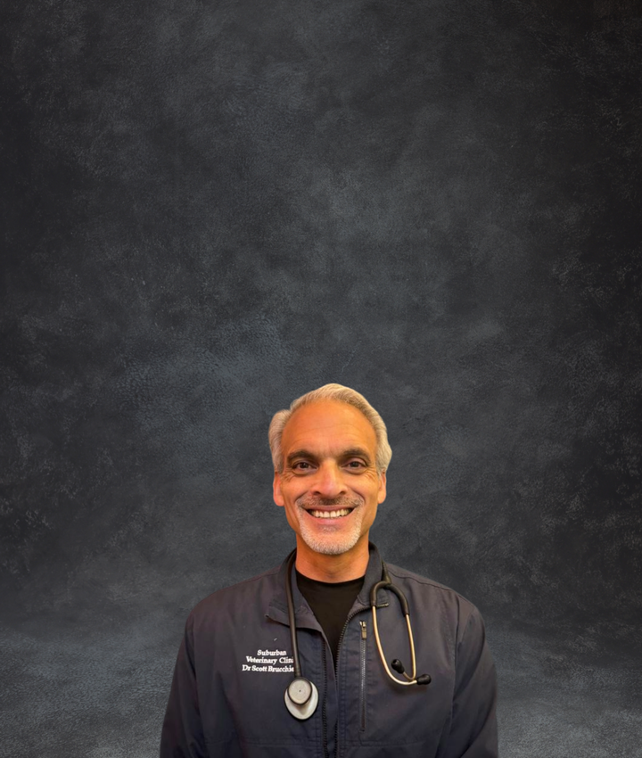 Dr. Scott